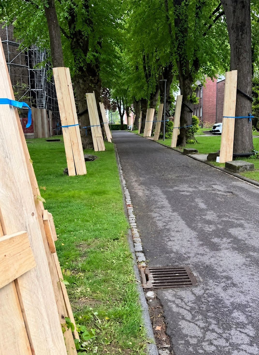 Baustelle und Baumschutz vor der Kirche St. Donatus